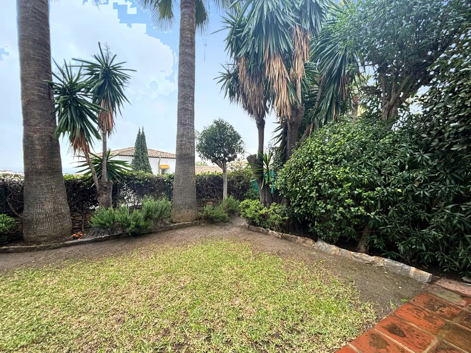 Jardín privado con césped y vegetación consolidada en torno a palmeras en Brisas II, Manilva.