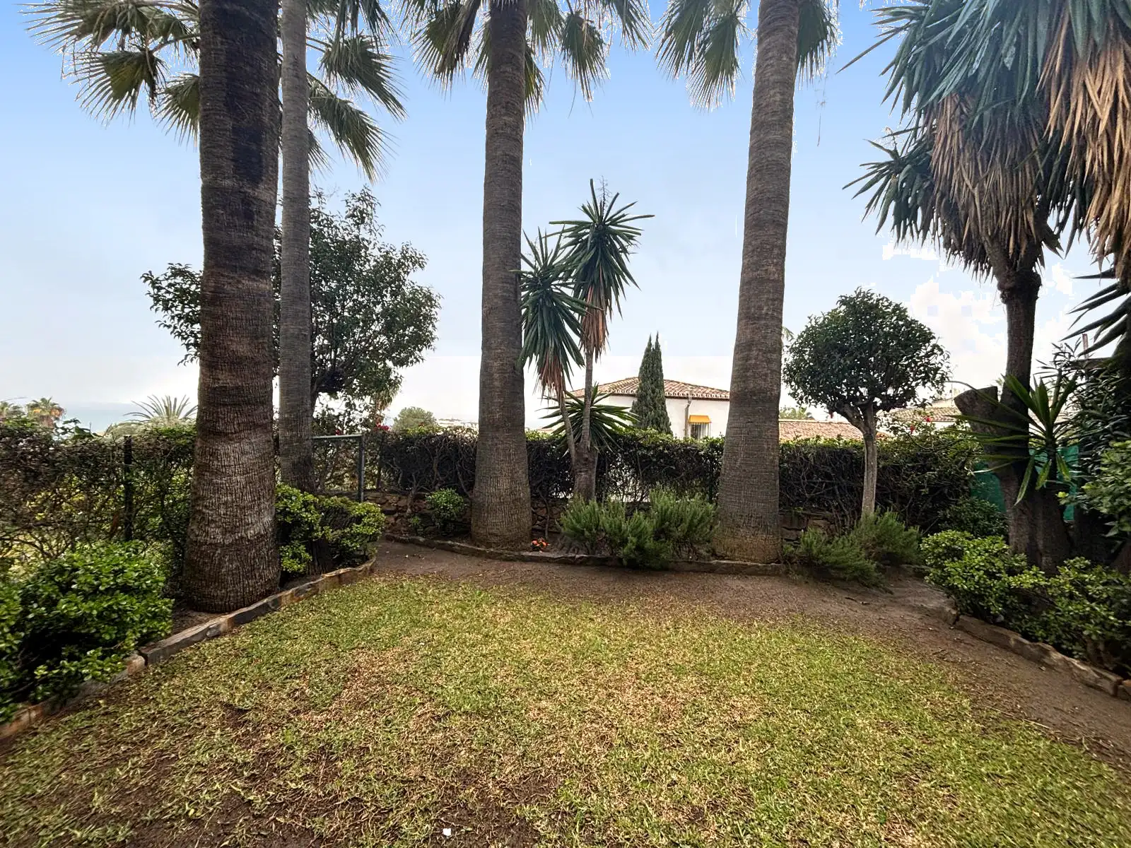 Jardín privado con césped, palmeras y vistas abiertas entre la vegetación en Brisas II, Manilva.